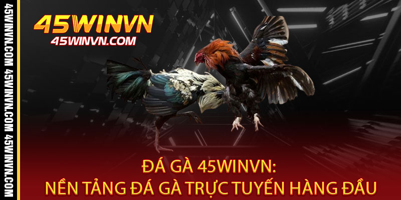Đá Gà 45WINVN: Nền Tảng Đá Gà Trực Tuyến Hàng Đầu